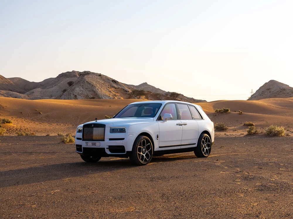 Market leaders in importing cars from American auctions to Europe?
